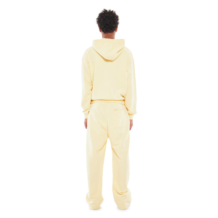 Zip-Up Lemon Sorbet